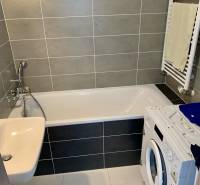 Bathroom with shower, washing machine, and sink in a 2-room apartment.