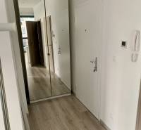 A hallway in a 2-room apartment with white doors, a large mirror, and light flooring.