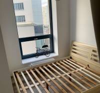 Bright bedroom in a 2-room apartment with a large window and an empty wooden bed frame.