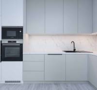 A kitchen unit in a family house with a sink, stove, and built-in oven.