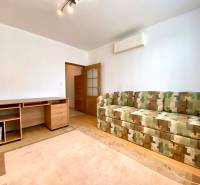 Living room in a three-room apartment with a sofa bed and a wooden desk.