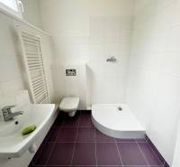 A bathroom with white tiles and purple flooring in commercial premises.