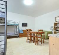 Interior of a 1-room apartment with a bunk bed, table, green sofa, and television.