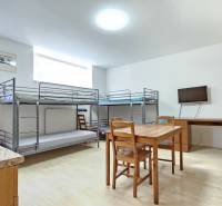 A room in a one-room apartment with bunk beds, a table, and a television.