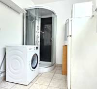 A bathroom in a studio apartment with a shower, washing machine, and refrigerator.