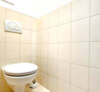 A toilet with ceramic tiles in a one-room apartment.