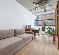 Living room in a 4-room apartment with a sofa, a desk, a plant, and large windows.