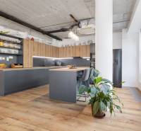 Spacious kitchen with wooden flooring in a 4-room apartment, live plants, and modern equipment.