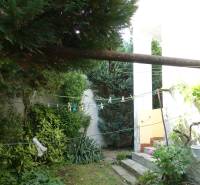 The garden of the family house on Hviezdoslavova Street in Piešťany, with clotheslines.