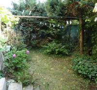The garden part of a family house on Hviezdoslavova Street in Piešťany with hanging clothespins and vegetation.