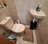 Bathroom with a toilet and a sink in a 3-room apartment, tiles and a shelf for toiletries.