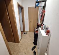 A narrow hallway with a shoe cabinet and doors in a 3-room apartment, suitable storage solution.