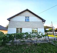 A family house in Kuzmice with a landscaped garden and vine in front of the facade.
