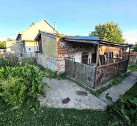 A garden with a small shelter by a family house in Kuzmice with green vegetation.