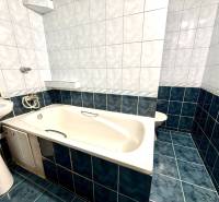 A bathroom in a studio apartment with a bathtub and dark blue tiles.