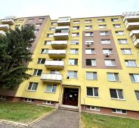 Apartment building on Hviezdoslavova Street in Senica with balconies and a coniferous tree.