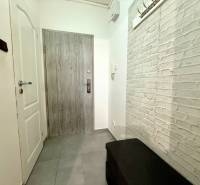 Entrance hallway of a one-room apartment with a brick wall and wooden doors.