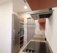 Kitchen with a stovetop, oven, and refrigerator in a family house, bright walls.