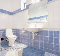 A bathroom in a family house with blue and white tiles and a sink.