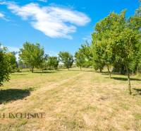 A garden with a lawn and trees at a family house in Tvrdošovce, blue sky.