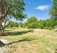 A garden at a family house in Tvrdošovce with fruit trees and a grassy area.