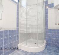 A bathroom with blue and white tiles, a shower corner, and a gas boiler in a family house.