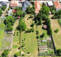 Aerial view of a garden and family house in Tvrdošovce with surrounding greenery.