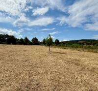 A field in Limbach on Sadova Street with a beautiful view of the countryside and the sky.