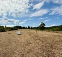 Agricultural and forest land on Sadova Street in Limbach with greenery and fencing.