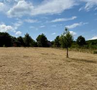 Free agricultural and forest land on Sadová in Limbach, with trees and a cottage.