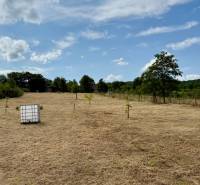 Extensive agricultural and forest lands on Sadová Street in Limbach with a water reservoir.