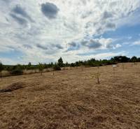 Extensive agricultural and forest land in Limbach on Sadová Street with fencing and a well.