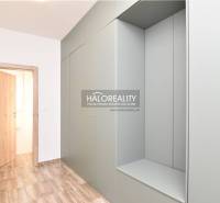A hallway in a family house with wooden doors and built-in wardrobes.