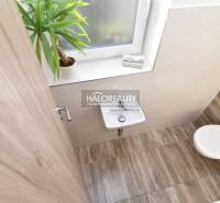 A bathroom in a family house with white tiles, a sink, a toilet, and a houseplant.