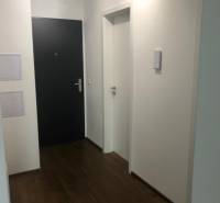 A hallway in a 2-room apartment with a dark floor, white walls, and black doors.