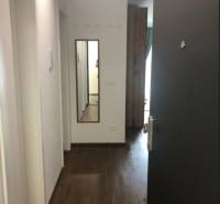 A hallway in a 2-room apartment with a wooden floor and a mirror on the wall.