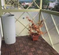 Balcony of a 2-room apartment with plants and wooden flooring, view of the surroundings.