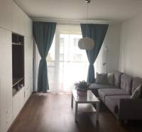 Living room in a two-room apartment with a sofa, furniture, curtains, and a table with a flower.