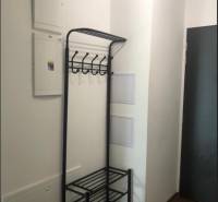 Entrance hall with a coat rack in a 2-room apartment.
