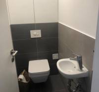 Bathroom with toilet and sink in a 2-room apartment.