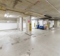 Underground garage with concrete pillars and parking spaces.
