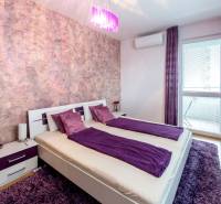 Bedroom in a 3-room apartment with purple curtains, carpet, and entrance to the bathroom.