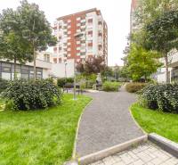 Greenery and benches in the area of the apartment building on Kaštieľska Street in Bratislava - Ružinov.