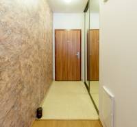 A hallway in a 3-room apartment with a stone-effect wall, wooden doors, and a mirrored wardrobe.
