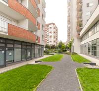 Exterior between buildings on Kaštieľska Street, Bratislava - Ružinov, with greenery and a walkway.