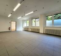 Spacious commercial spaces with windows, radiators, and pendant lighting.