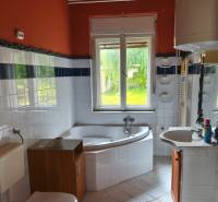 The bathroom with a bathtub and a sink in the family house has orange walls and white tiles.