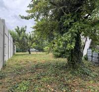 The garden of a family house in Dobrohošť with grass and trees by a concrete fence.