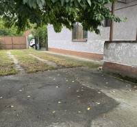 The courtyard of a family house in Dobrohošť, with a tree and a grassy area.
