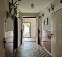A hallway in a family house with walls full of antlers, colorful tiles on the floor.